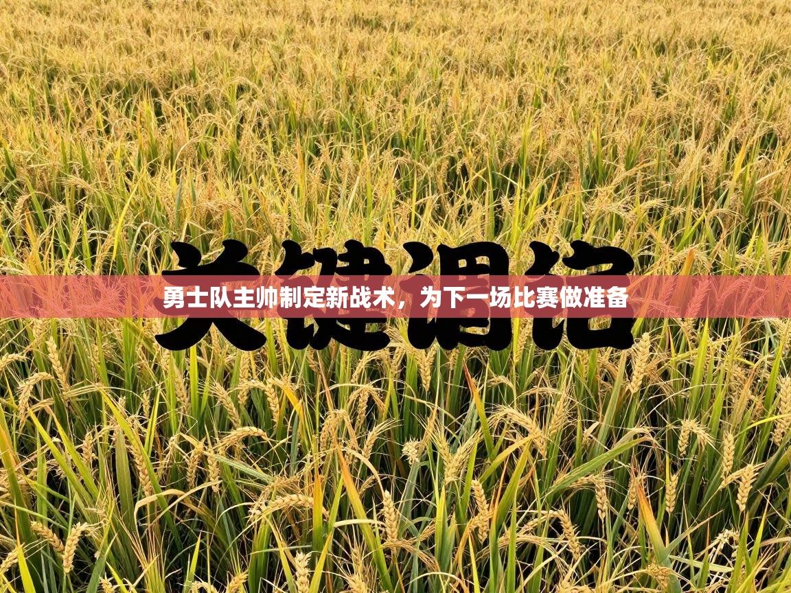 勇士队主帅制定新战术，为下一场比赛做准备  第2张